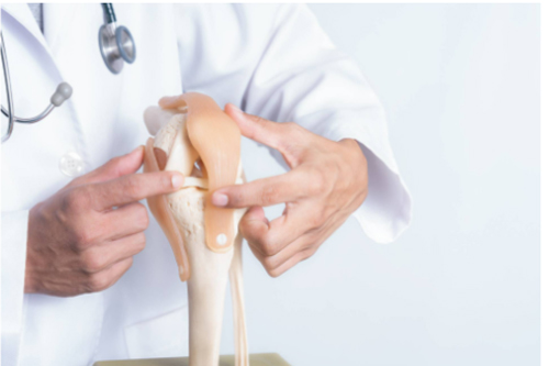 Orthopedic doctor In Satna explain knee structure